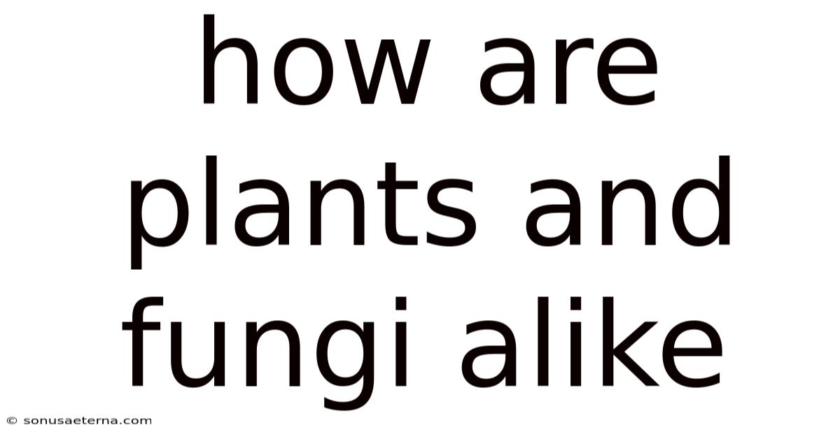 How Are Plants And Fungi Alike