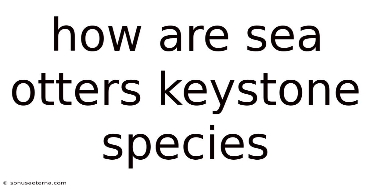 How Are Sea Otters Keystone Species