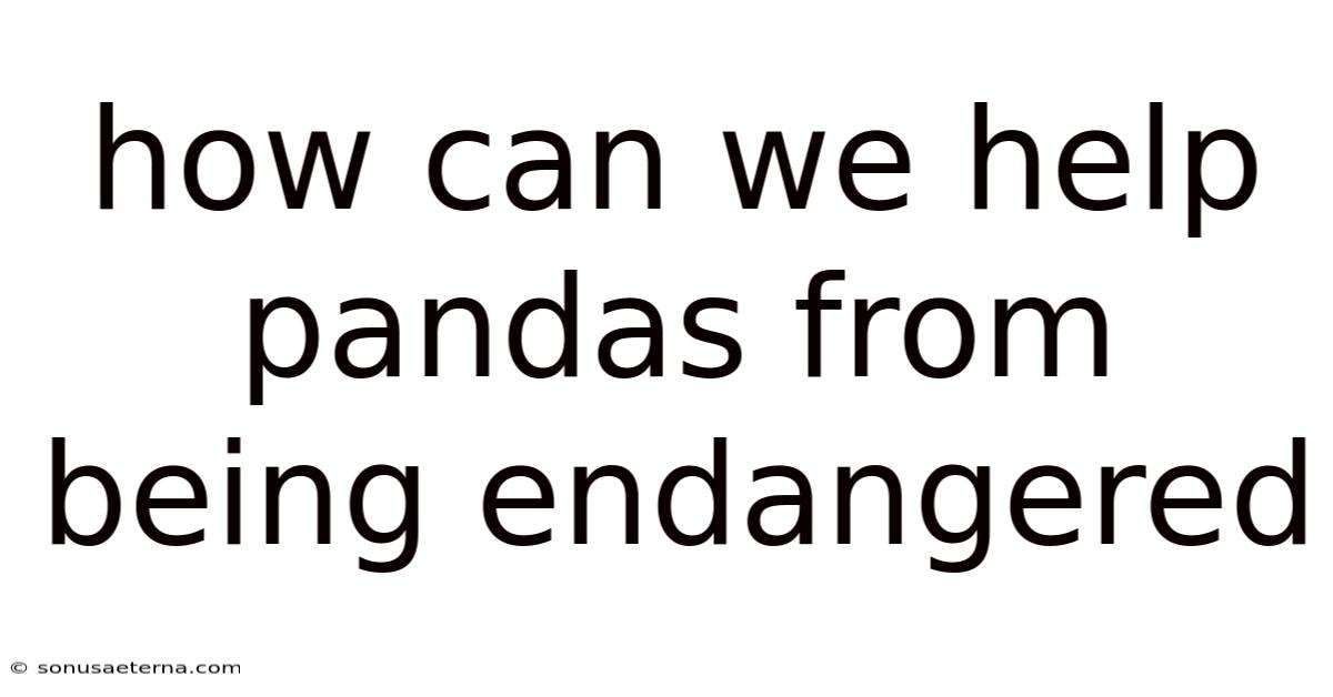 How Can We Help Pandas From Being Endangered