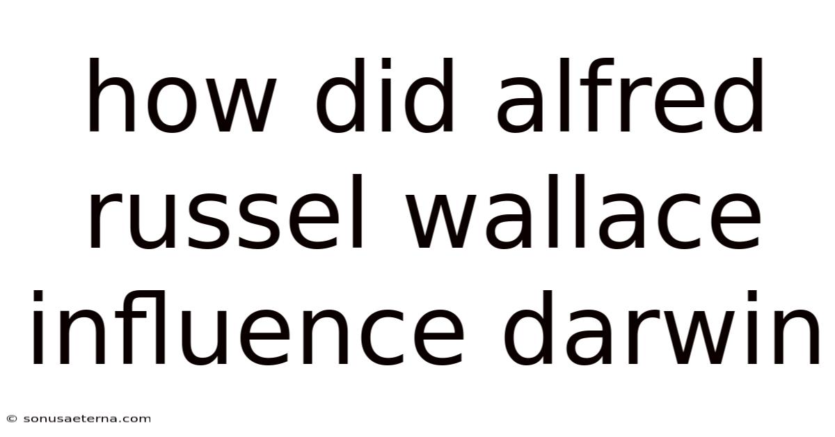 How Did Alfred Russel Wallace Influence Darwin