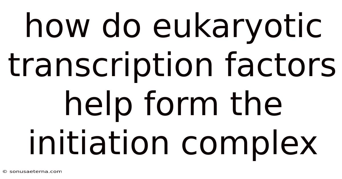 How Do Eukaryotic Transcription Factors Help Form The Initiation Complex
