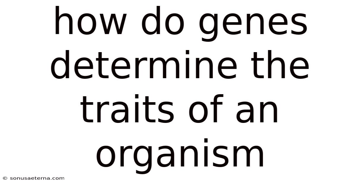 How Do Genes Determine The Traits Of An Organism