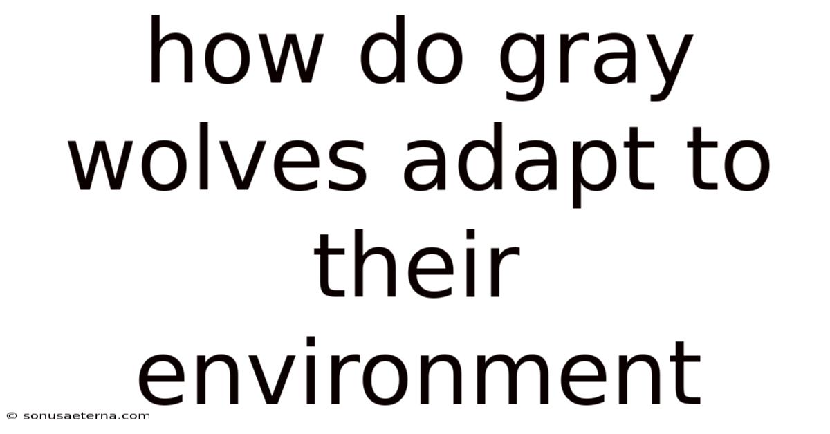 How Do Gray Wolves Adapt To Their Environment