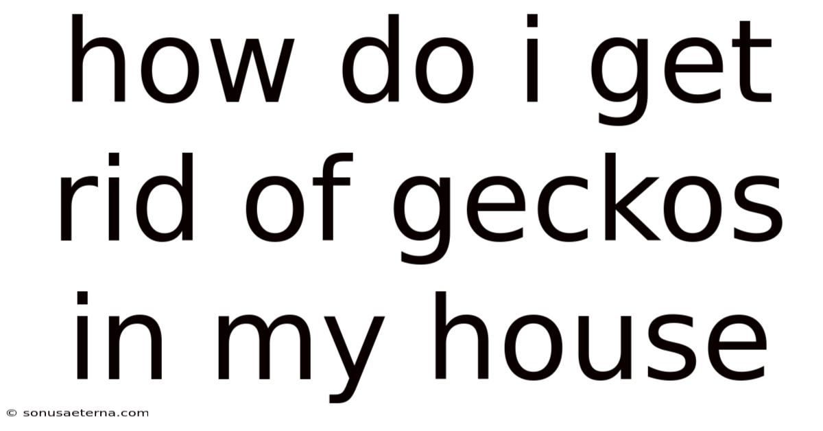 How Do I Get Rid Of Geckos In My House