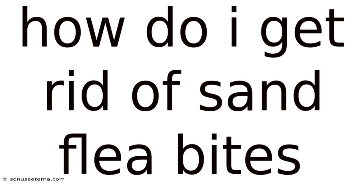 How Do I Get Rid Of Sand Flea Bites