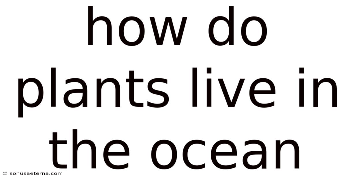 How Do Plants Live In The Ocean