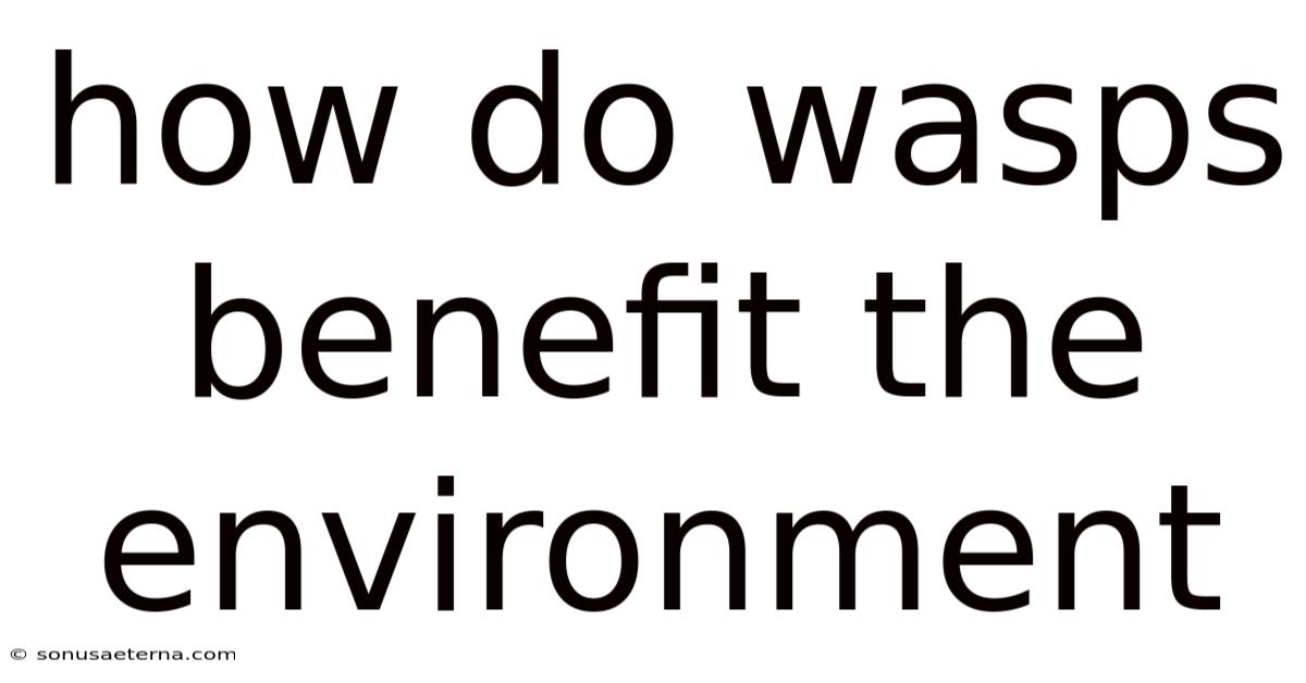 How Do Wasps Benefit The Environment