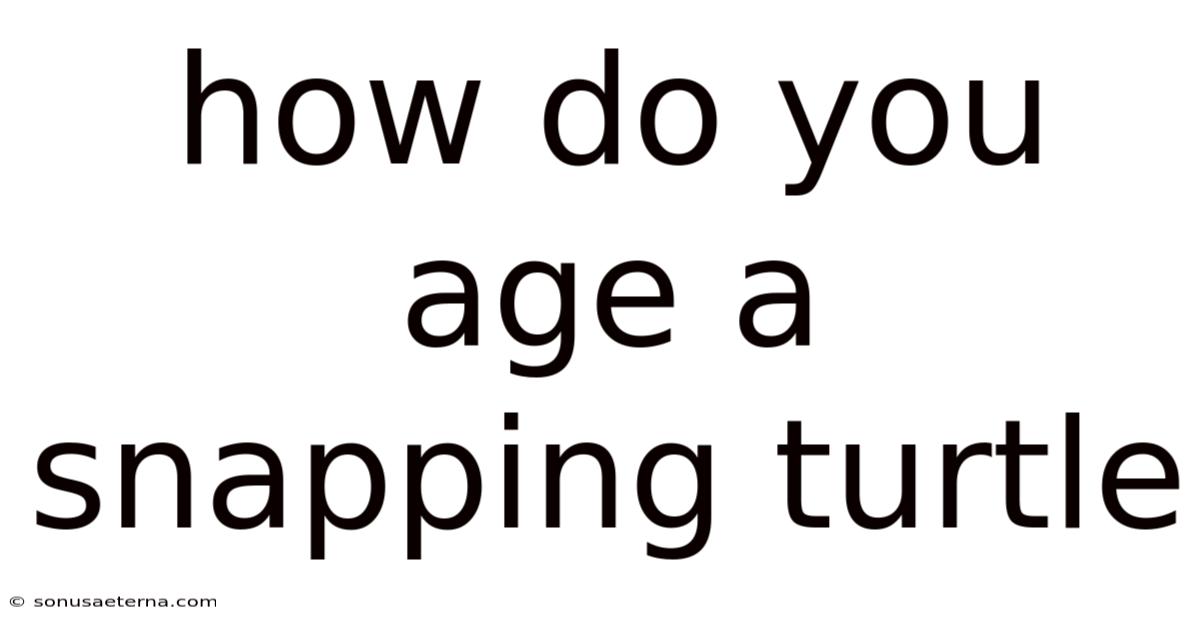 How Do You Age A Snapping Turtle