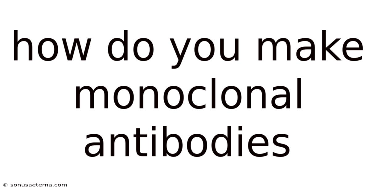 How Do You Make Monoclonal Antibodies