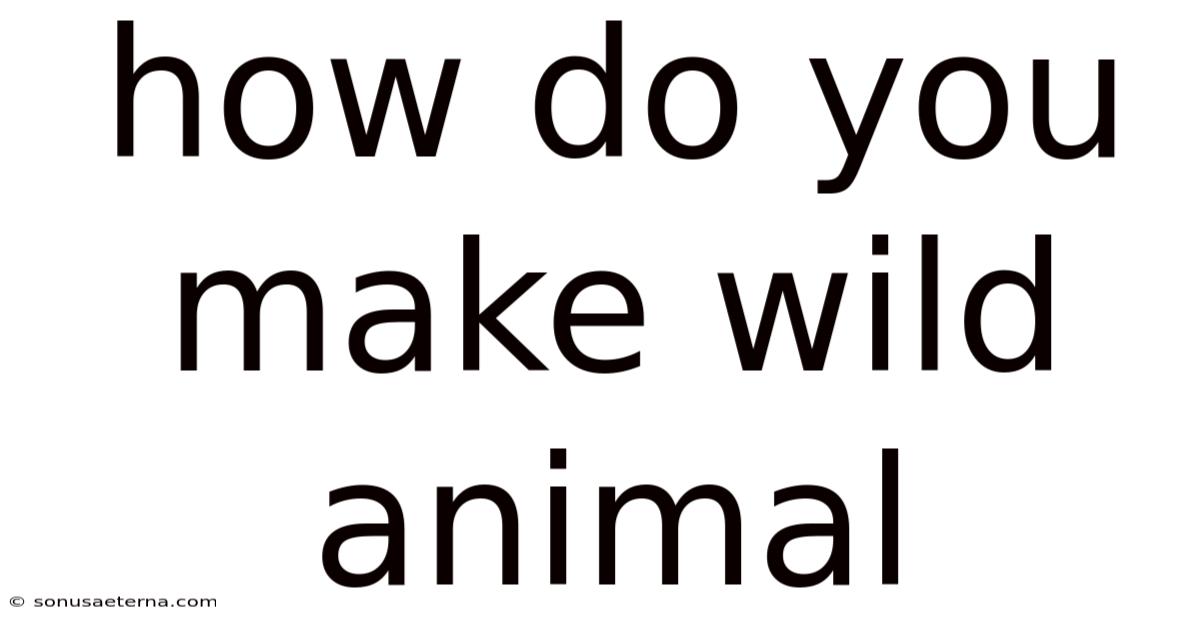 How Do You Make Wild Animal