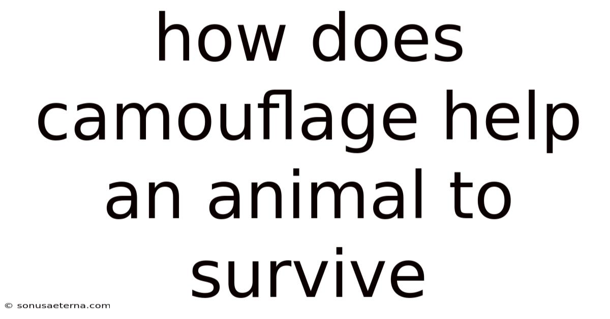 How Does Camouflage Help An Animal To Survive