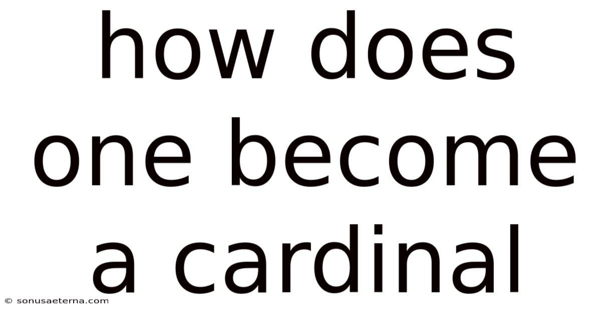 How Does One Become A Cardinal