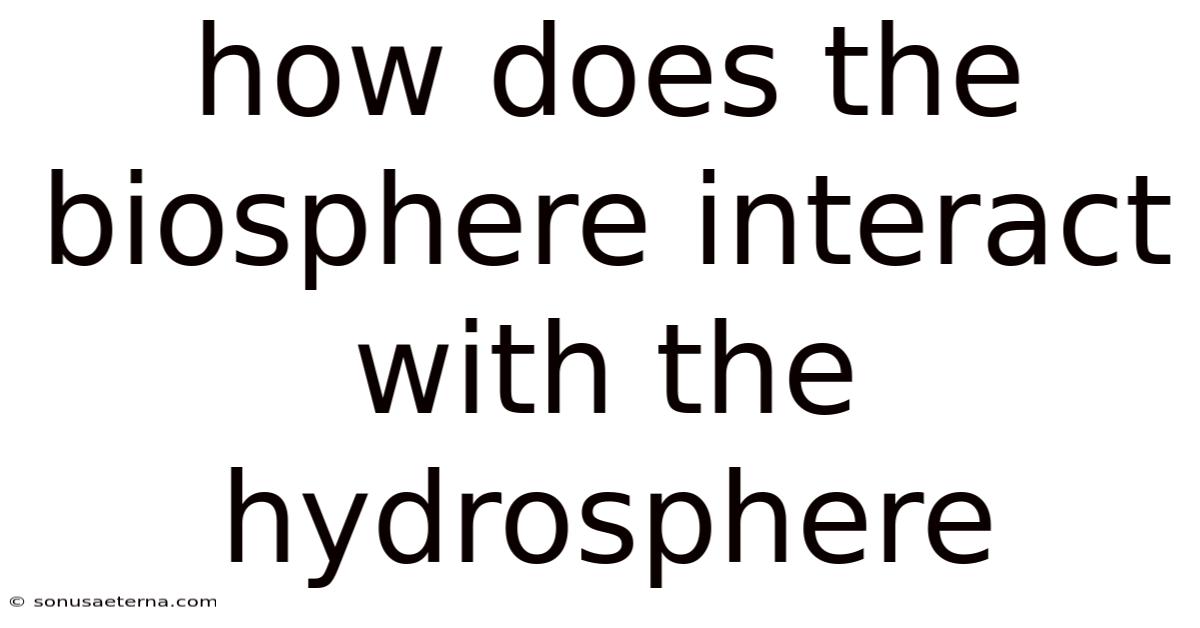 How Does The Biosphere Interact With The Hydrosphere