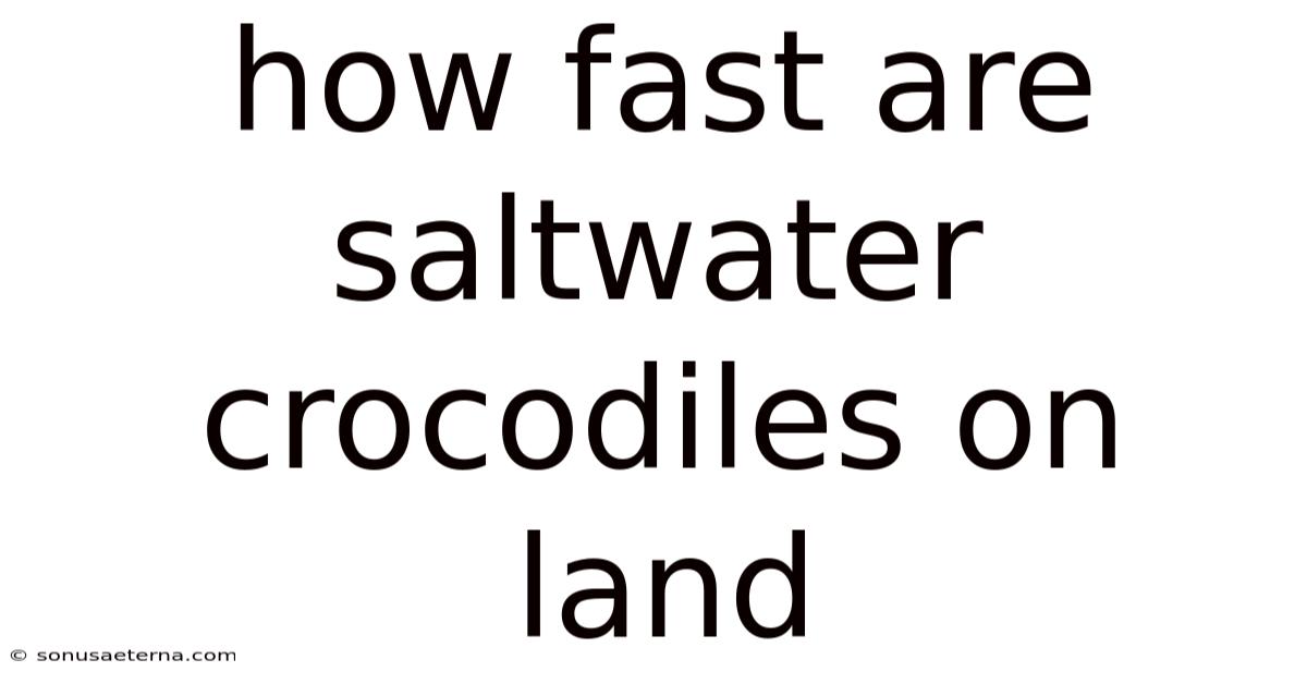 How Fast Are Saltwater Crocodiles On Land