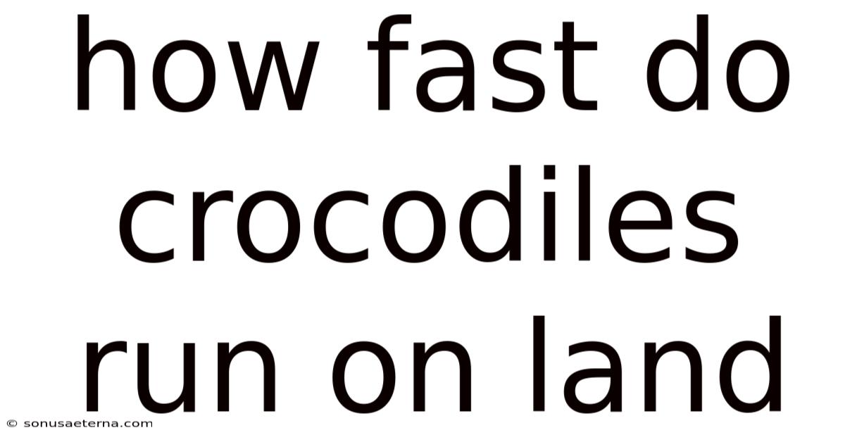 How Fast Do Crocodiles Run On Land