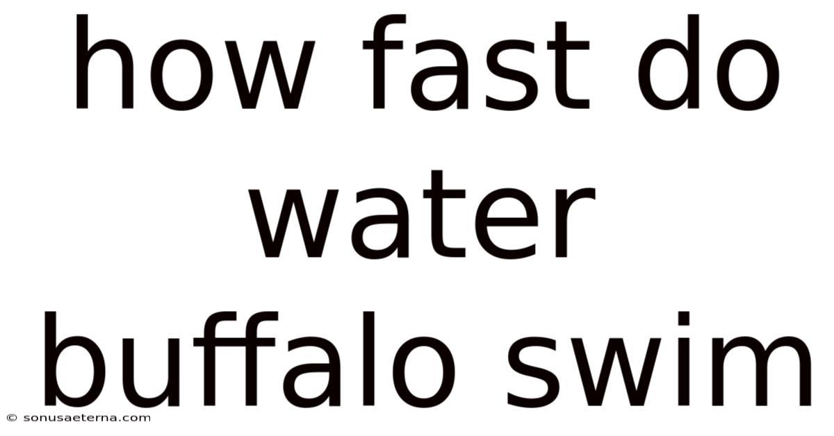 How Fast Do Water Buffalo Swim
