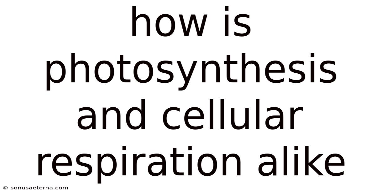 How Is Photosynthesis And Cellular Respiration Alike