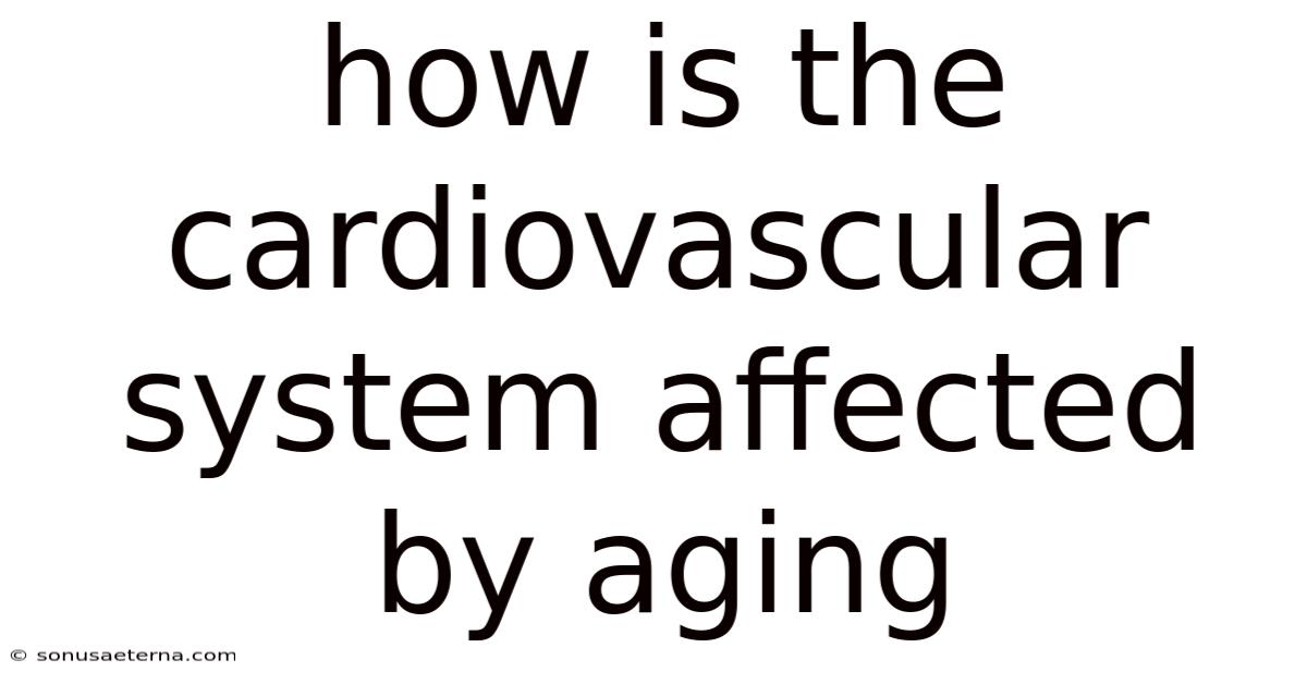 How Is The Cardiovascular System Affected By Aging