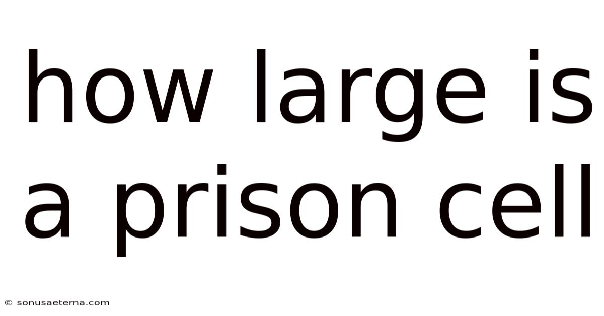 How Large Is A Prison Cell