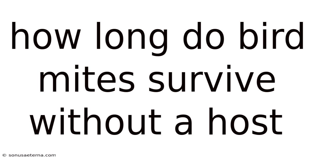 How Long Do Bird Mites Survive Without A Host