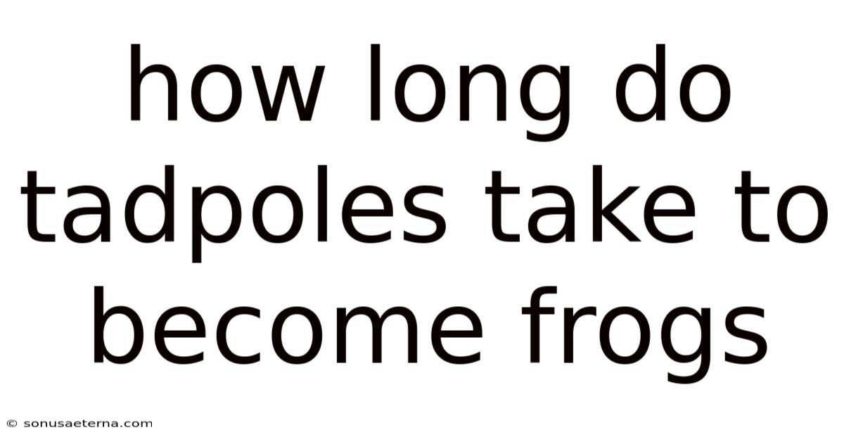 How Long Do Tadpoles Take To Become Frogs