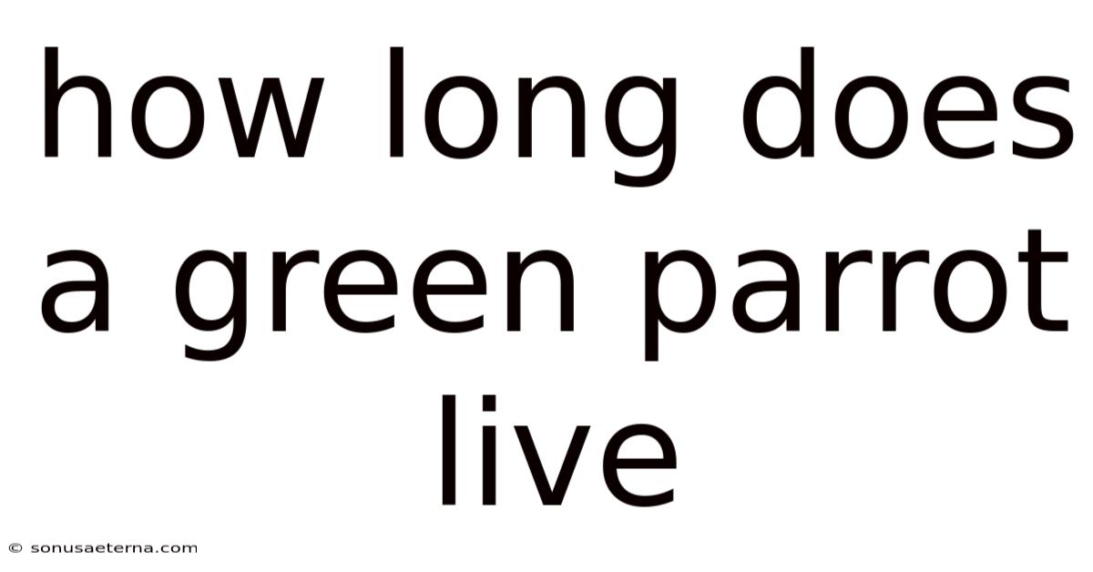 How Long Does A Green Parrot Live