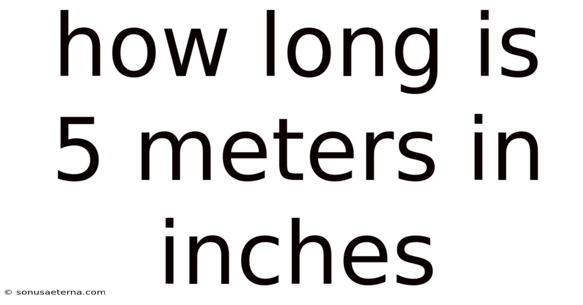 How Long Is 5 Meters In Inches