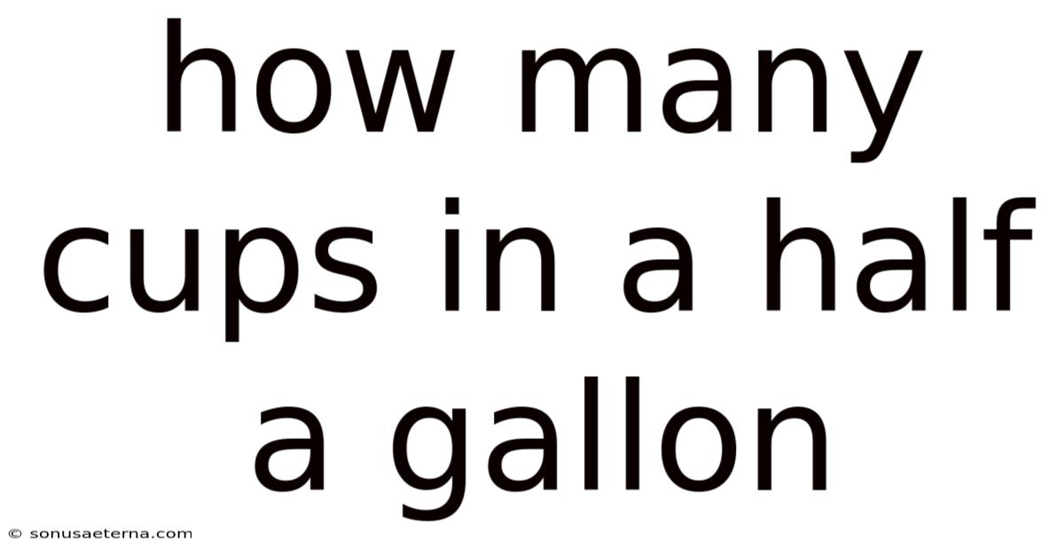 How Many Cups In A Half A Gallon