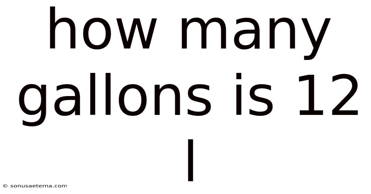 How Many Gallons Is 12 L