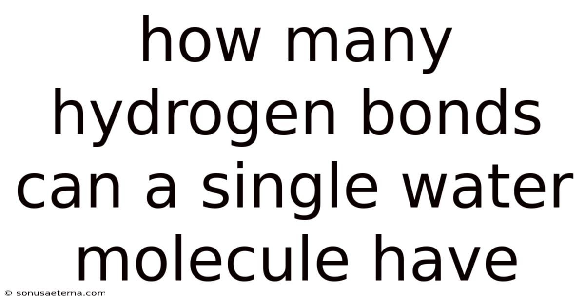 How Many Hydrogen Bonds Can A Single Water Molecule Have