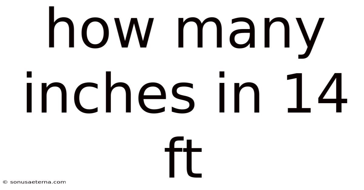 How Many Inches In 14 Ft