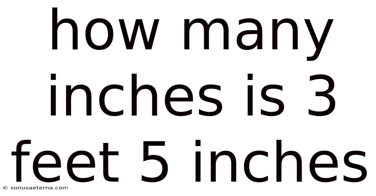 How Many Inches Is 3 Feet 5 Inches