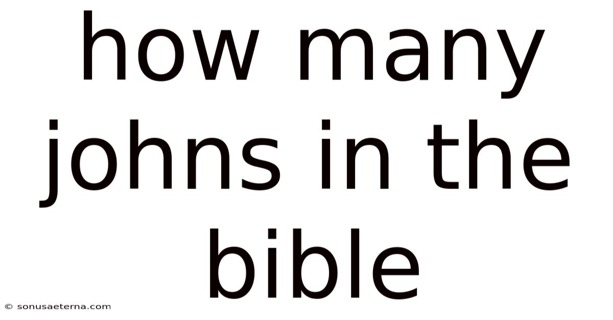 How Many Johns In The Bible