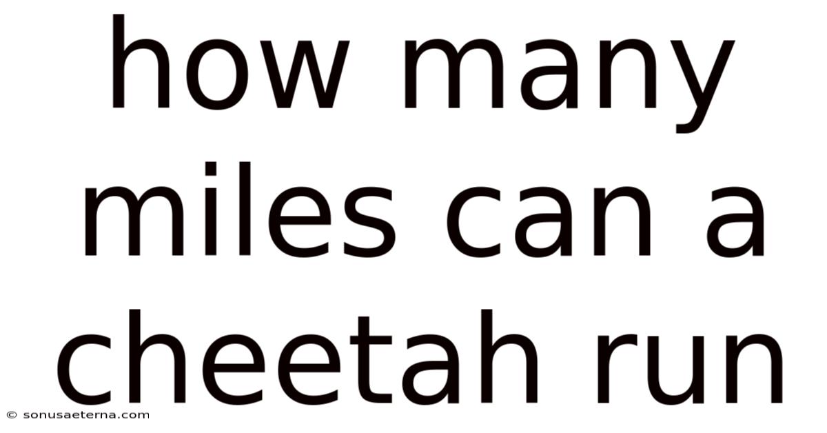 How Many Miles Can A Cheetah Run