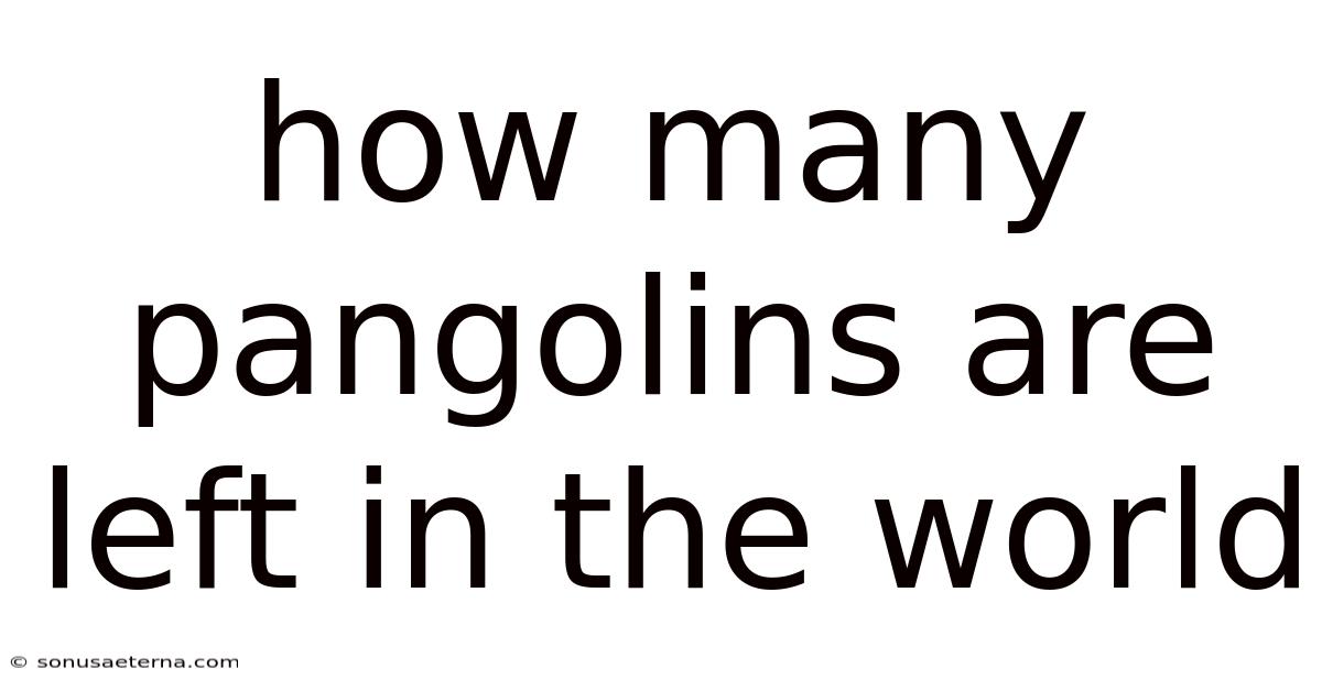 How Many Pangolins Are Left In The World