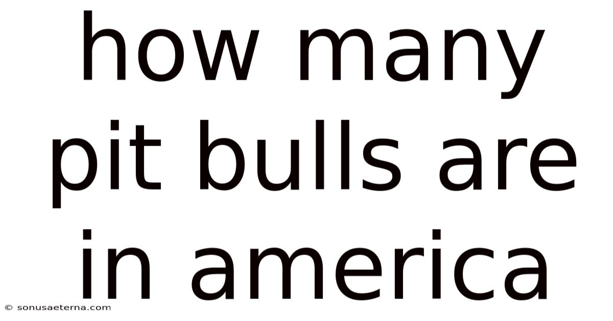 How Many Pit Bulls Are In America