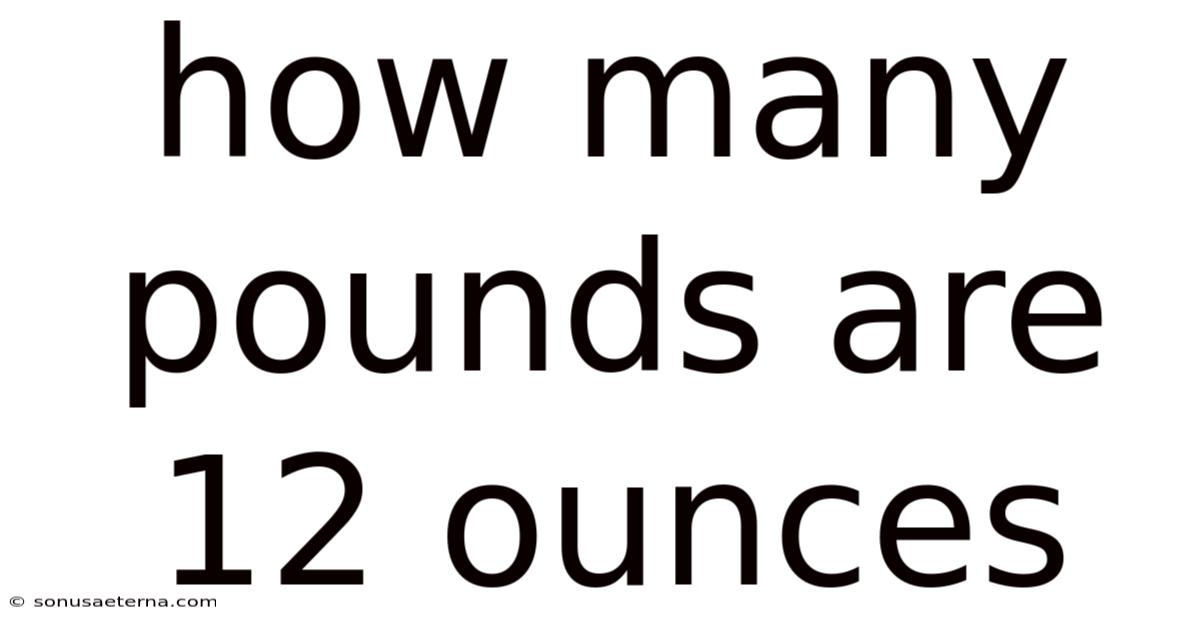 How Many Pounds Are 12 Ounces