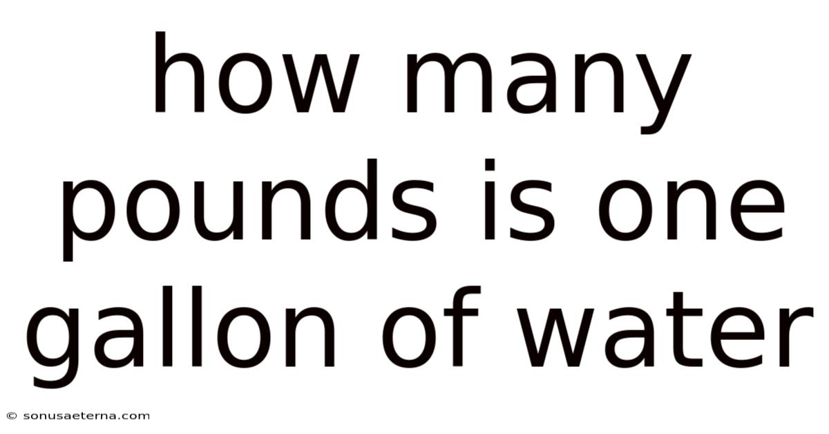 How Many Pounds Is One Gallon Of Water