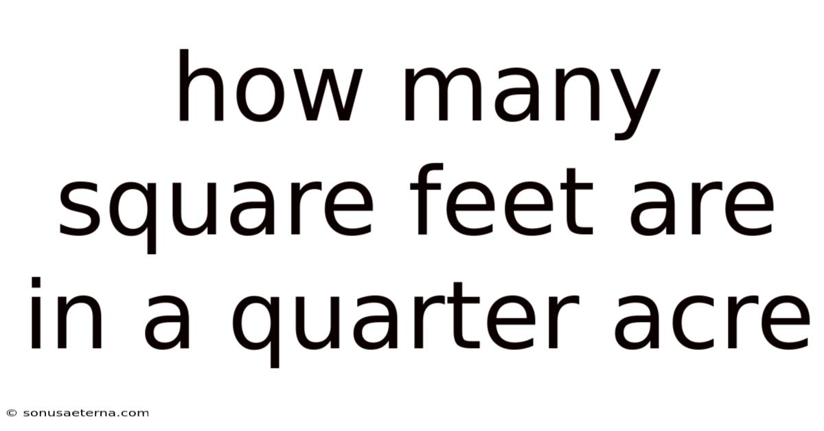 How Many Square Feet Are In A Quarter Acre