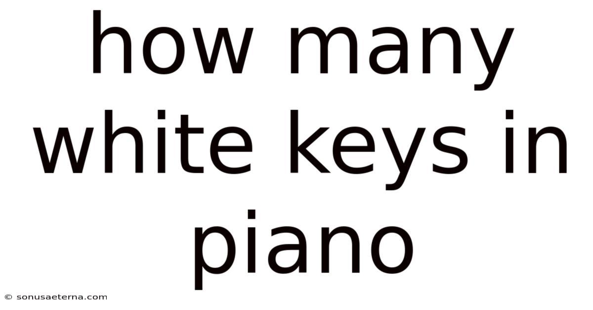 How Many White Keys In Piano