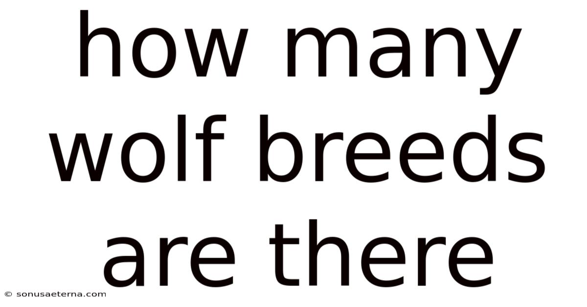 How Many Wolf Breeds Are There