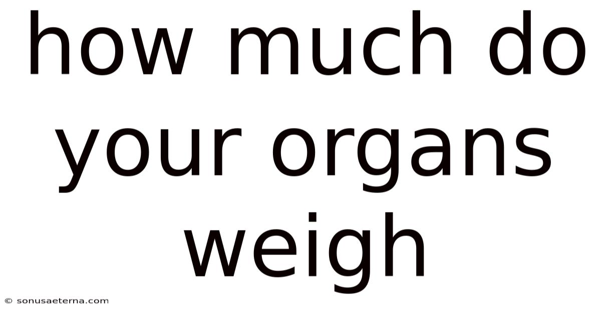 How Much Do Your Organs Weigh