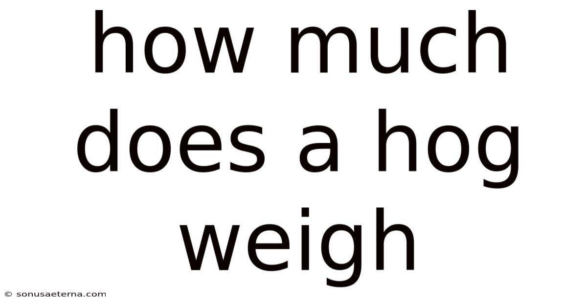 How Much Does A Hog Weigh