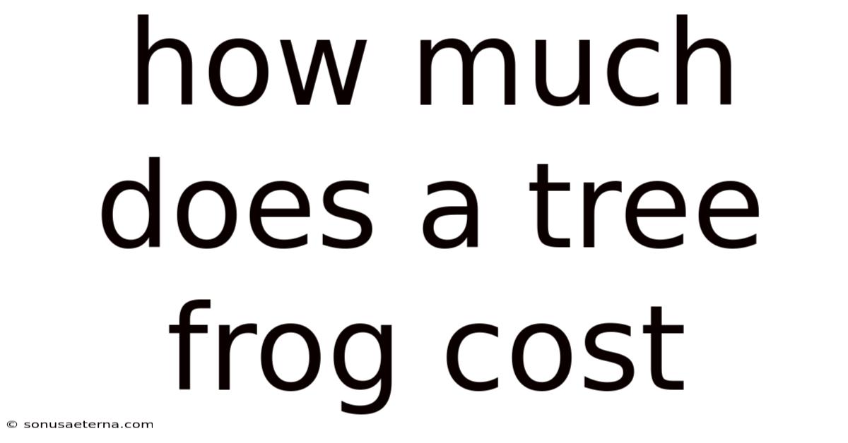 How Much Does A Tree Frog Cost