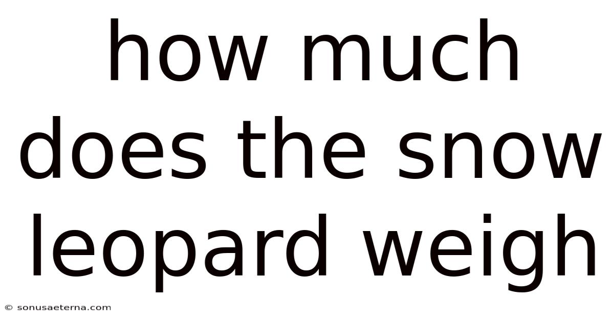 How Much Does The Snow Leopard Weigh