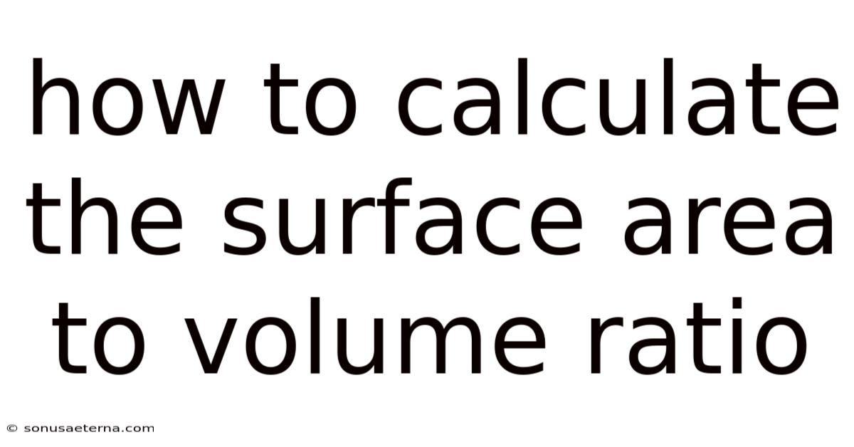 How To Calculate The Surface Area To Volume Ratio