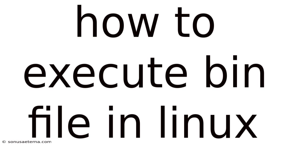 How To Execute Bin File In Linux