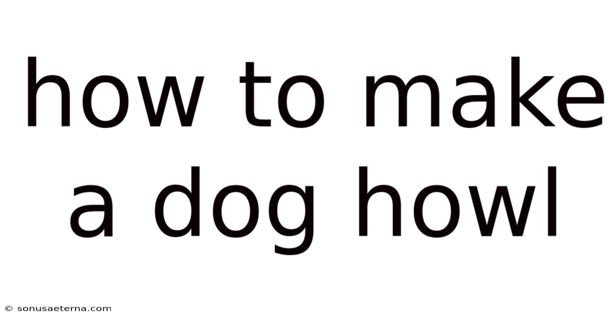How To Make A Dog Howl