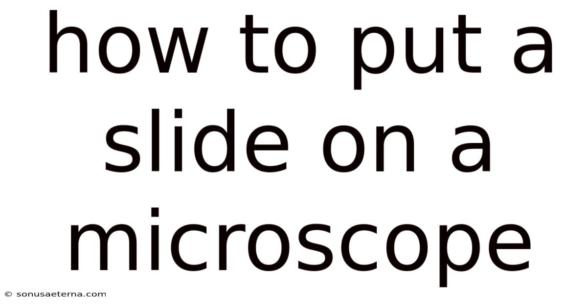 How To Put A Slide On A Microscope