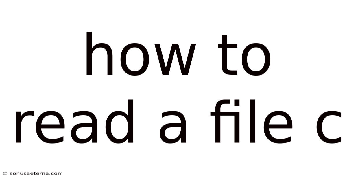 How To Read A File C